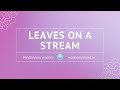 Leaves on a stream  mindfulness practice