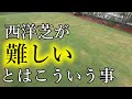 【夏越え失敗？】西洋芝が難しいとはこういう事【薬害】