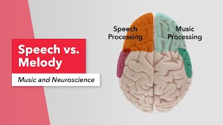Music & Neuroscience: Speech vs. Melody (Lesson 1) | Susan Rogers | Berklee Online 3/26
Access Free Music Resources: https://berkonl.in/3HPNkYL
In these lessons from Berklee Online’s Music and Neuroscience course, Susan Rogers explores how your brain processes music—and why it sparks powerful emotional responses. By understanding how music evokes emotion, musicians can connect more meaningfully with their audience while also enriching their own appreciation of the craft. Our brains have different structures that receive signals from the nervous system, identifying speech, sound, and rhythm. Rogers explains how when we sing or listen to a song we like, the chemical reactions in our brain release dopamine, encouraging us to keep listening. The 26 videos of this course reveal why we like certain songs by analyzing perception across musicians and non-musicians, cultural influences, metrical structures, and tonality. All of these factors show that every emotional response is unique, as it also depends on internal and external conditions such as when (and with whom!) you are listening.
Rogers tells musicians that our nervous system enjoys a balance between familiarity and novelty, explaining that pop music and hit songs tend to be liked the most because they generally contain a familiar aspect along with an innovative element. Music not only causes emotional reactions, but also automatic physiological responses such as chills, which are often correlated with unexpected elements inside a song. Rogers says that we are most likely to like a song when it meets our expectations, as our brains like to anticipate melodies or rhythms based on our memory of past songs. When we like a song, our brain creates a template of the type of music we tend to like, which we remember each time we listen to something new. This course emphasizes that music is used for bonding and can be an identification of culture and identity, providing a sense of belonging. With these teachings, Rogers hopes to help musicians deepen their appreciation for music and inspire them to innovate.
Watch All of the Videos in This Series: https://berkonl.in/3UBLBMh
ABOUT SUSAN ROGERS:
Susan Rogers holds a Doctorate in Psychology from McGill University (2010), where she studied music cognition and psychoacoustics under researchers Daniel Levitin and Stephen McAdams. Her research focuses on auditory memory, the perception of musical signals, and the influence of musical training on auditory development. For two decades prior to her science career, Susan was one of the world’s few women known for her work as a record producer, engineer, mixer, and audio electronics technician. Career highlights include five years (1983-1987) as staff engineer for Prince, producing hit singles for diverse artists such as Barenaked Ladies, David Byrne, Robben Ford, Jeff Black, and Rusted Root, mixing hit singles for an equally eclectic list including Tricky, Michael Penn, Toad the Wet Sprocket, and Tevin Campbell, and engineering for a host more. Susan is a professor at Berklee College of Music in the departments of Music Production & Engineering and Liberal Arts, and is the director of the Berklee Music Perception and Cognition Laboratory. In 2012, she was awarded the Distinguished Faculty Award, Professional Writing and Music Technology Division. In tandem with business partner and former student Matthew McArthur (Berklee ’10), Susan launched Boston’s first not-for-profit recording studio, The Record Company, to offer low-cost recording facilities to area musicians and free music technology instruction to area teens.
About Berklee Online:
Founded in 2002, Berklee Online is the premier innovator and largest provider of worldwide music education, offering the renowned curriculum of Berklee College of Music at a fraction of the cost through award-winning programming and instruction. Contact an Academic Advisor today:
1-866-BERKLEE (US)
1-617-747-2146 (international callers)
advisors@online.berklee.edu
http://www.facebook.com/BerkleeOnline
http://www.instagram.com/berkleeonline/
https://www.linkedin.com/company/berkleeonline
https://www.tiktok.com/@berkleeonline
Music and Neuroscience | Musical Taste | Dopamine Reward System | Anhedonia | Emotional Responses to Music | Listener Profile | Cultural Differences in Music | Tonality | Metrical Structure | Rhythm and Groove | Prediction and Anticipation | Expectancy Violation | Sad Songs | Reminiscence Bump | Mind Wandering | Default Network | Emotional Contagion | Chills Response | Musical Memory | Familiarity and Novelty | Authenticity in Music | Realism vs. Abstraction | Consonance and Dissonance | Susan Rogers | Berklee Online | Berklee College of Music | Music Perception and Cognition Laboratory | Daniel Levitin | Stephen McAdams | Prince | Barenaked Ladies | David Byrne | Robben Ford | Jeff Black | Rusted Root | Tricky | Michael Penn | Toad the Wet Sprocket | Tevin Campbell | The Record Company | Matthew McArthur Music & Neuroscience: Speech vs. Melody (Lesson 1) | Susan Rogers | Berklee Online 3/26