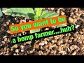 So you want to be a hemp farmer?