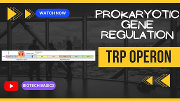 Trp (Tryptophan) Operon||Prokaryotic Gene Regulation|| Molecular Biology|| GATE Biotechnology|| NEET