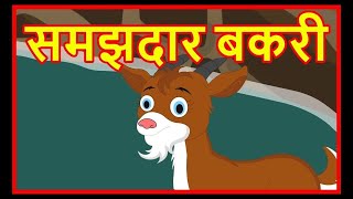 बकरी और बाघिन की कहानी  Story of Goat And Tigress goat tigressinburkha goats