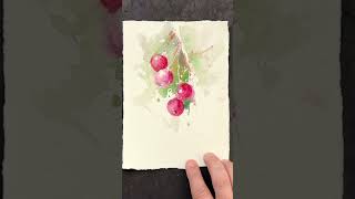 Berries, Watercolor Sketch, Fabio Cembranelli