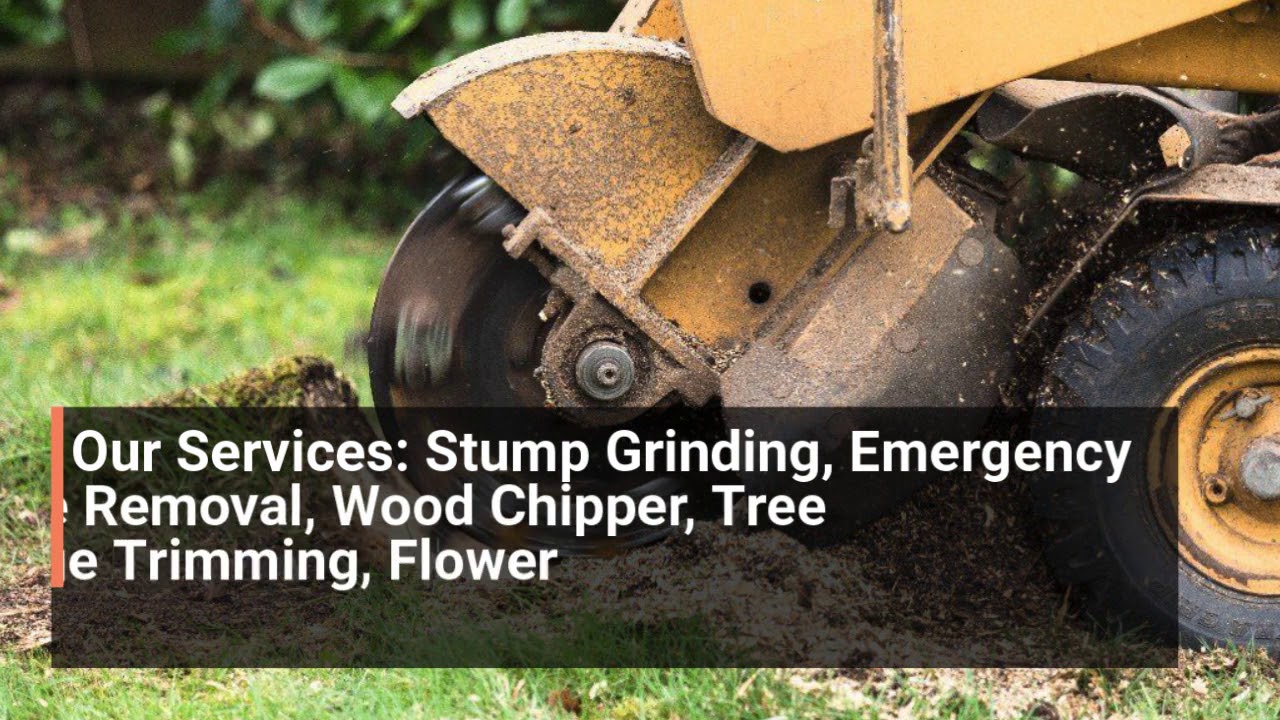 Best Stump Grinding Contractor in Salt Lake City 801-803-6278 - YouTube