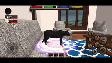 Ultimate Cat simulator vs stray cat simulator