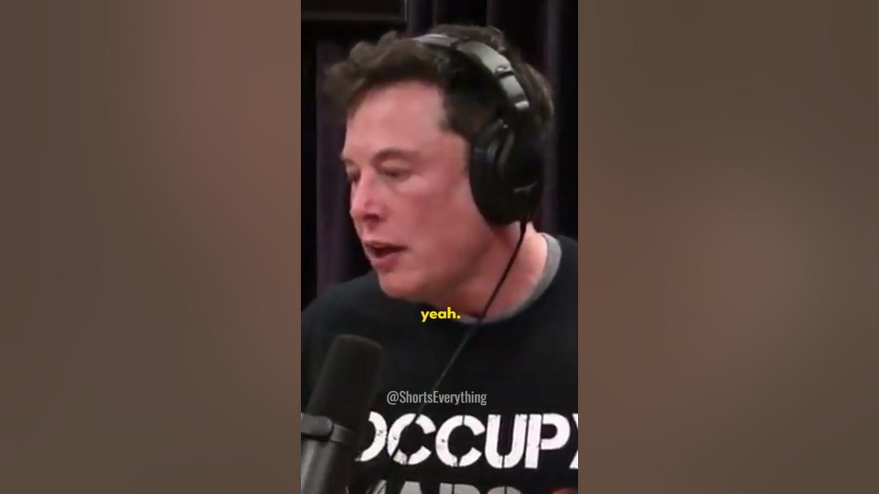 Elon Musk explains how to REGULATE AI - YouTube