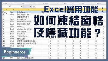 【Excel教學】辦公室必學的實用功能：如何凍結窗格及隱藏功能？｜Beginneros
