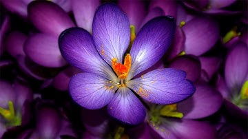 How to Change Background Color in Photoshop CS6