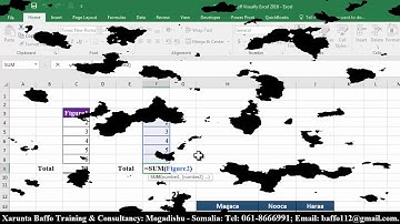 Teach Yourself Visually Excel 2016 #04, Af-Somali