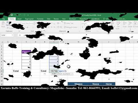 Teach Yourself Visually Excel 2016 #04, Af-Somali