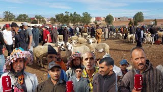 جولة بسوق أربعاء أولاد سعيد بسطات....الثمن طالع والفلاحة كيطالبو بالدعم