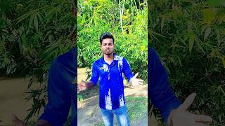 একই রঙের রক্তে বহে  #viralvideo #octoberevent #holiday #reelschallenge  #ভাইরালগ্রামজুনিয়র