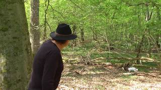 Geheimnisse Des Pfälzer Waldes Teil 5 - Das Hügelgräberfeld