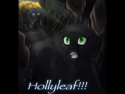 warrior cats hollyleafs story