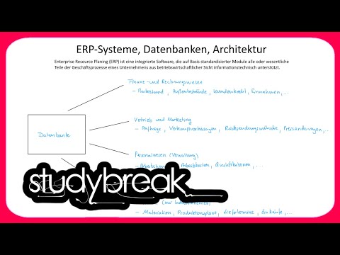 ERP-Systeme, Datenbanken, Architektur