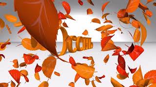 Футаж 😊Первое Октября🍁С Утром осенним!🍂 Желаю Добра!☀️