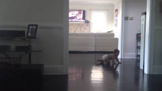 Julia Crawling
