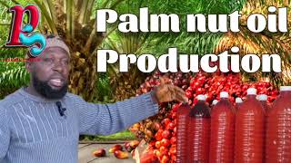 small scale palm 🌴 oil production in Ghana (Africa)