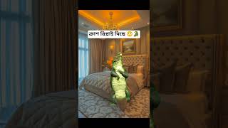 ক্রাশ রিপ্লাই দিছে 😳🐊 #fun #Crocodile #memes