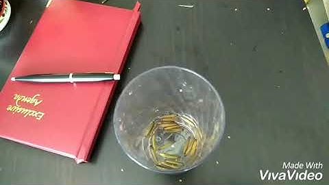 "PLETEKAN"(Ruebellia Tuberosa) Tanaman liar bahan obat dan letupan buahnya mantap@Ushter studio.