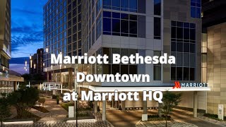 Marriott Bethesda Downtown Review: Room, Lounge, Amenities & More