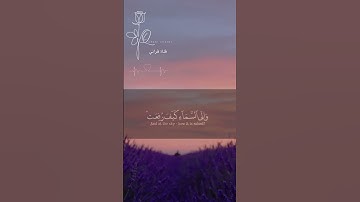 أفلا ينظرون إلى الابل كيف خلقت|| تلاوة خاشعة جدا❤️
