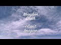 Meaghan Smith - Can't Imagine (Lyric Video)