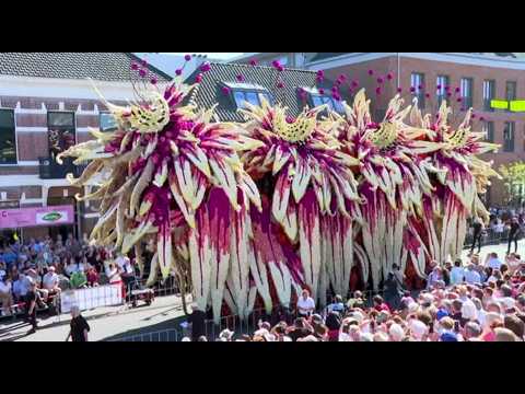 Video Olanda, la gigantesca e coloratissima parata di fiori di Zundert