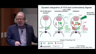 Immune Checkpoint Blockade in Cancer Therapy