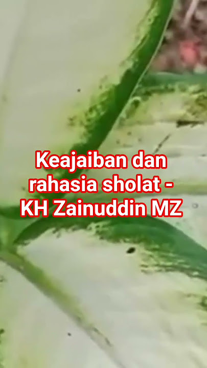 Keajaiban dan rahasia sholat - KH Zainuddin MZ #ceramahlucu #kisah #seputardakwah #kisahislami #fyp
