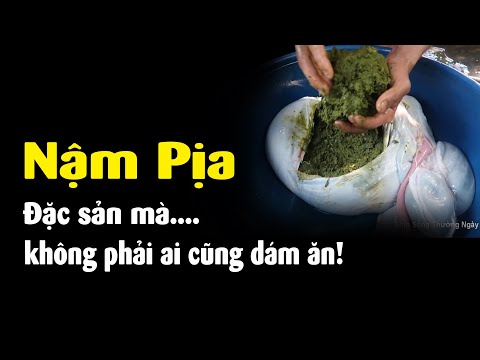 Video Đặc sản Tây Bắc mà 90% không dám ăn! Nậm Pịa - youtube