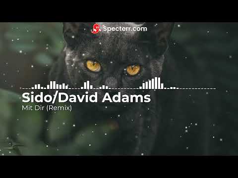 Sido Mit Dir David Adams Remix (Official Audio)