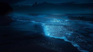 Echoes of the Deep | Whispering Waves Leading You to Pure Calm