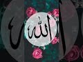 Allah u Akbar New video #viral
