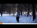 January through May 2018 Maine Trail Camera Videos | Deer | Coyote | Blizzards & More