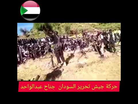 فيديو: ما هو وقت الاستجابة في جيش تحرير السودان؟