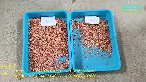 Mini Color Sorter, Peanut Color Sorter