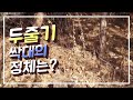 2022.2.15 도라지 산행  ( Feat.산에서 도라지 찾는 방법 )