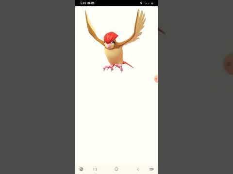 pokemon go lutando