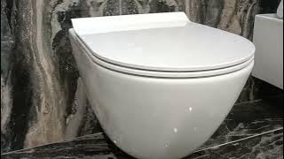 GSI 881511/MS86CSN11/FISR2  PURA, Wall hung WC   seat  fixing set, White Glossy