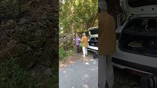 como un lobo ataca ferozmente ovejas en pueblo de Galicia Redemuiños escasos metros de poblacion