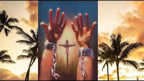 Dan Mohler - FREE FROM SIN