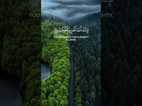 سورة المائدة ياسر الدوسري