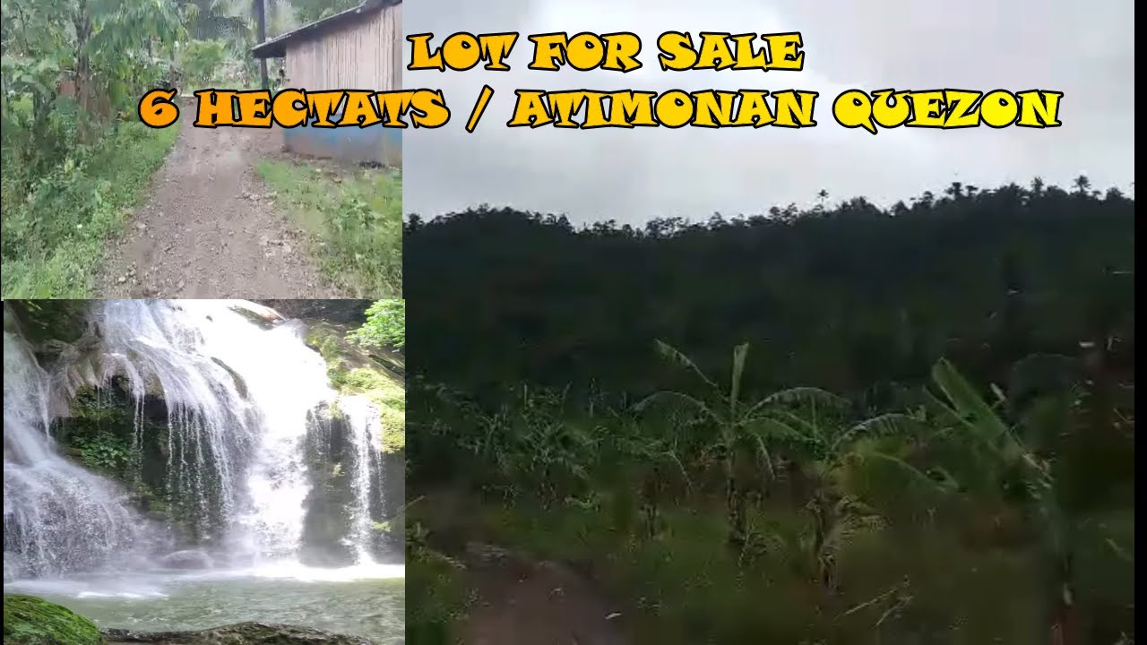 LOT FOR SALE / 6 HECTARS / BRGY. SANTA CATALINA ATIMONAN QUEZON YouTube