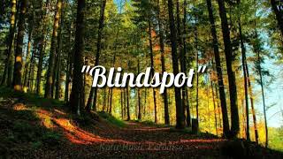 Nurko - Blindspot Pt. 2 (Lyrics) ft. Devon Baldwin