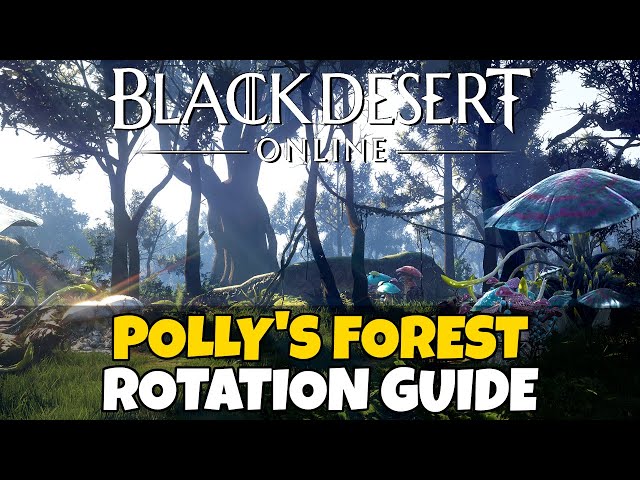 Polly's Forest Rotation Guide | Black Desert Online class=