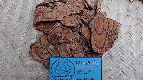 KÊ HUYẾT ĐẰNG : Vị thuốc trị đau hiệu quả từ loài cây cỏ máu