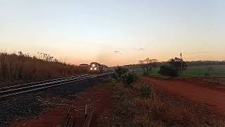Trem de celulose partindo sentido zfn