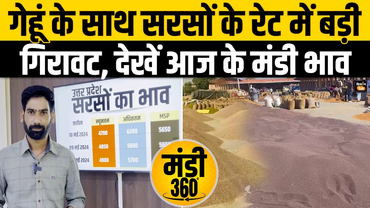 Wheat Mandi Price Today wheat-mandi-price-today