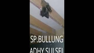 Suara panggil walet bermahar sp.bullung by adhi sulsel pada rbw baru dah ada nginap!!!!